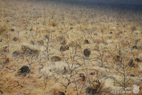 Третьяковская галерея (Россия, Москва) фото