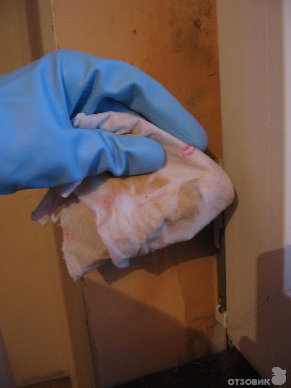 Удалитель плесени без хлора Glutoclean фото