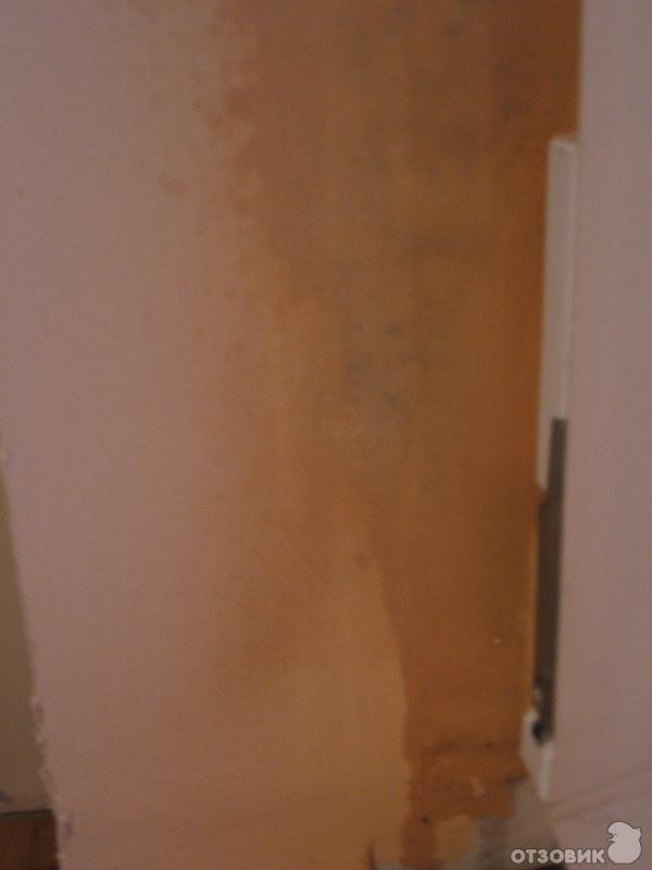 Удалитель плесени без хлора Glutoclean фото