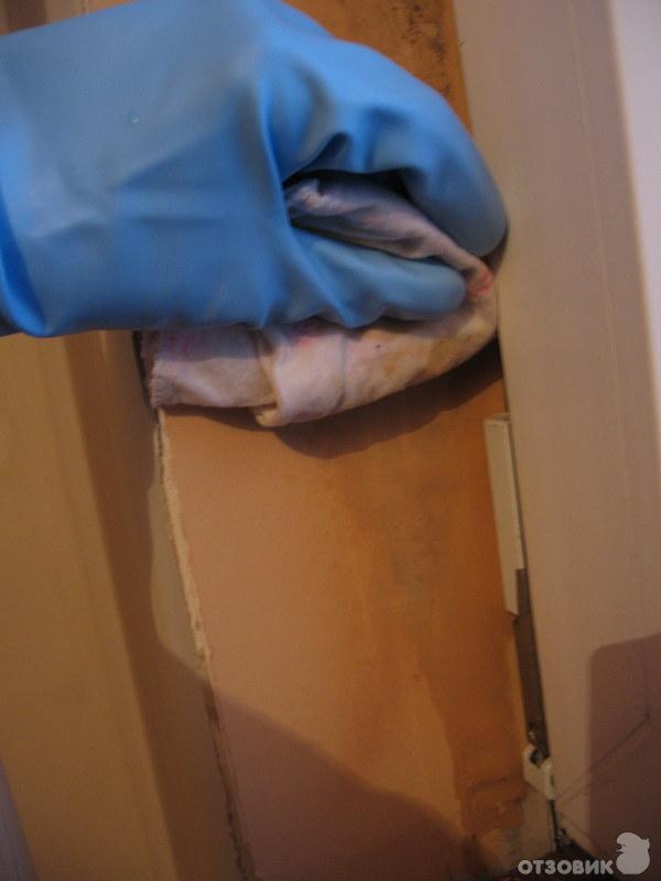 Удалитель плесени без хлора Glutoclean фото