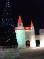 Ледовый городок (Россия, Новосибирск) фото