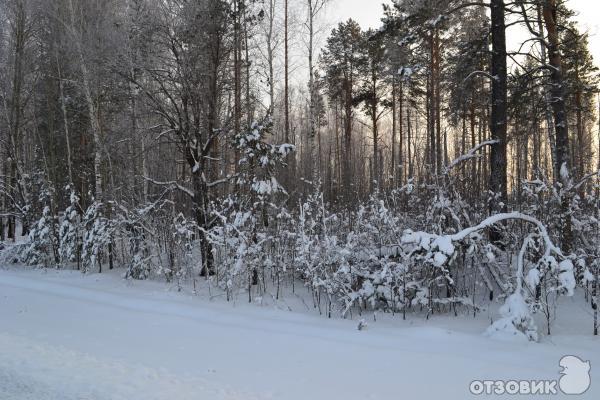 камера