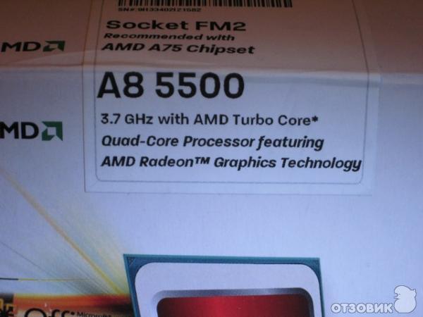 Процессор AMD A8-5500 фото