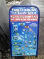 Океанариум "Морской аквариум на Чистых прудах" (Россия, Москва) фото