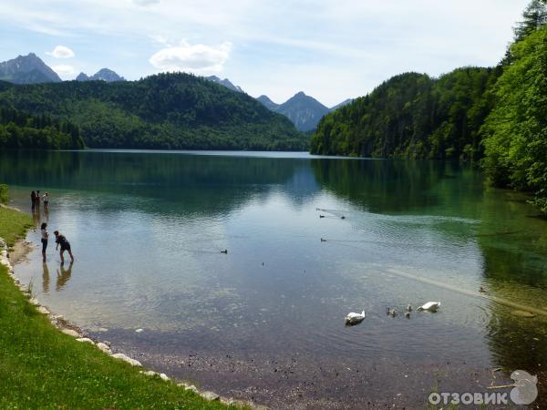 Экскурсия в замок Нойвайнштайн (Германия, Бавария) фото