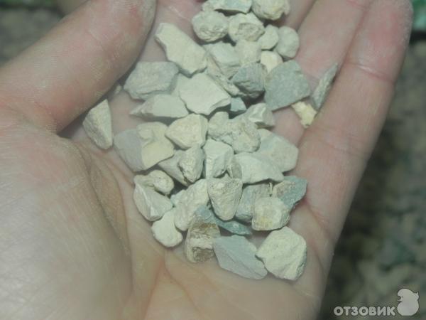 Одноразовый туалет для кошек Любимый кот без хлопот фото