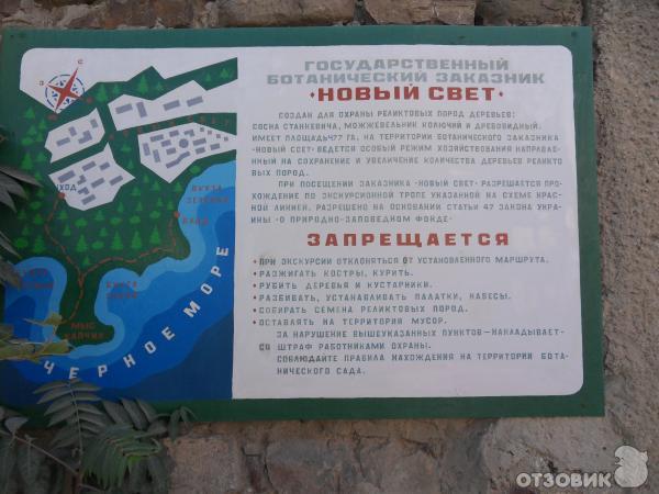 Курортный поселок Новый Свет (Украина, Крым) фото
