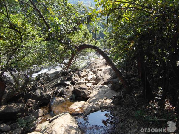 Экскурсия к водопаду Дудхсагар (Индия, Гоа) фото