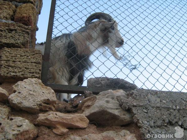 Свято-Георгиевский монастырь (Украина, Крым) фото