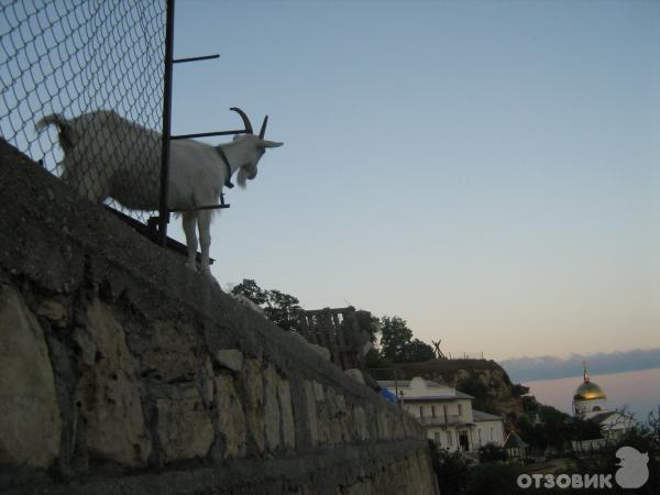 Свято-Георгиевский монастырь (Украина, Крым) фото