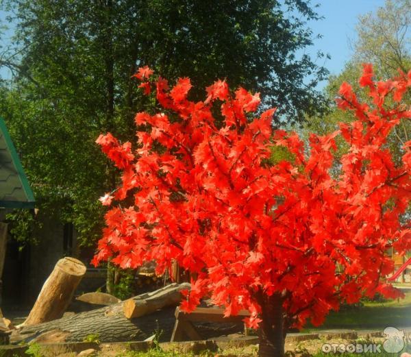 Агротуристический комплекс Коробчицы (Белоруссия, Гродненская область) фото