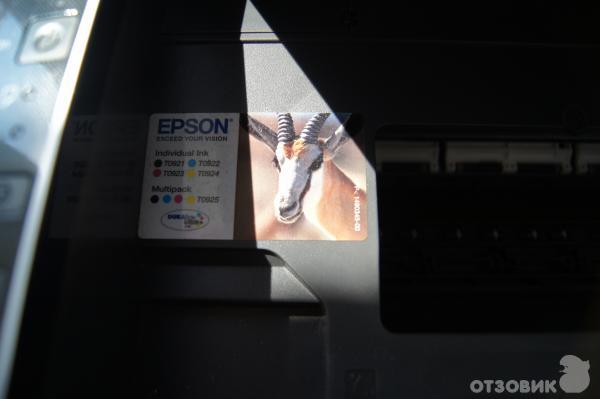 МФУ Epson Stylus TX117 фото