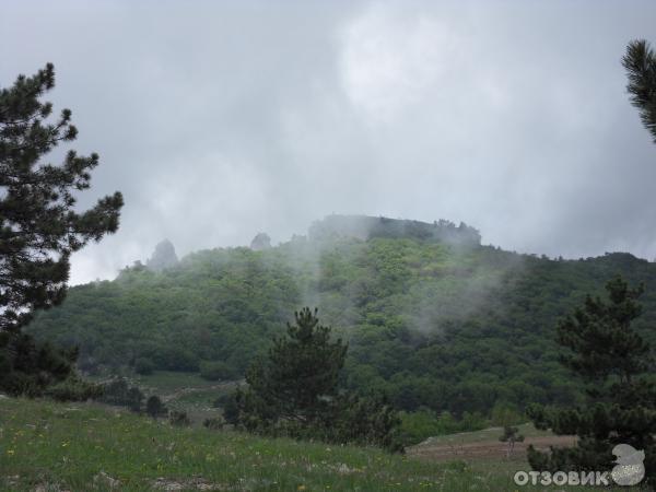 Экскурсия на гору Ай-Петри (Украина, Крым) фото