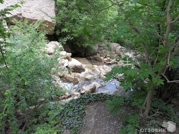 Экскурсия на гору Ай-Петри (Украина, Крым) фото