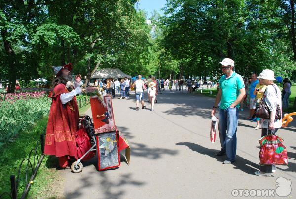 Международный фестиваль уличных театров Елагин парк (Россия, Санкт-Петербург) фото