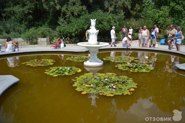 Никитский Ботанический сад (Украина, Ялта) фото