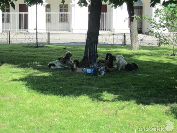 Экскурсия по г. Киев (Украина) фото
