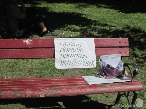 Экскурсия по г. Киев (Украина) фото