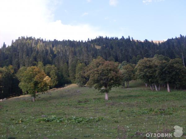 Отдых в г. Гагра (Абхазия) фото