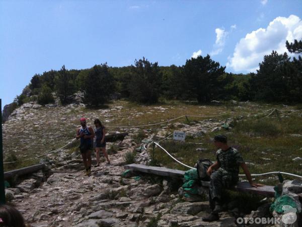 Ялтинский горно-лесной заповедник .