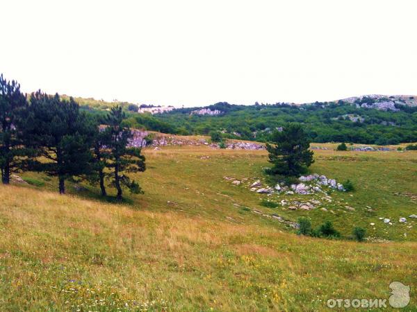 Экскурсия на гору Ай-Петри (Украина, Крым) фото