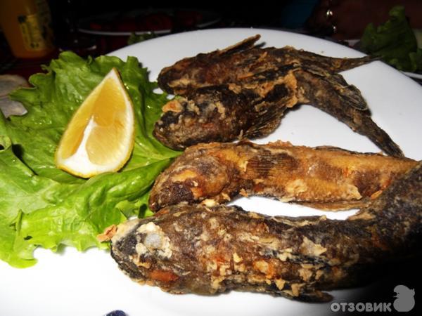 Отдых в Кранево фото