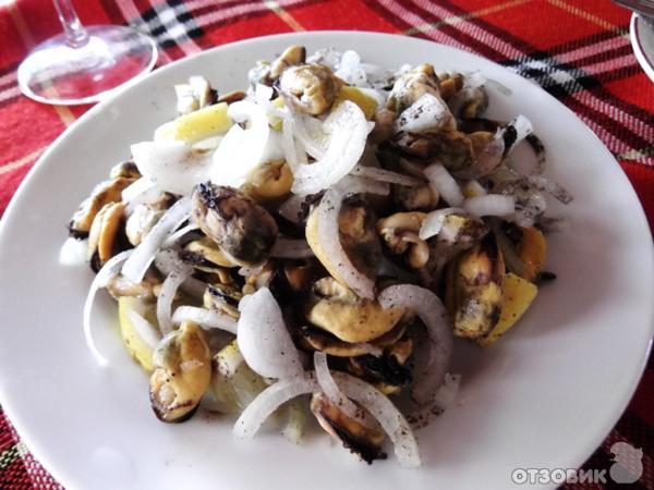 Отдых в Кранево фото