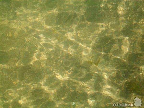 Отдых в Кранево фото