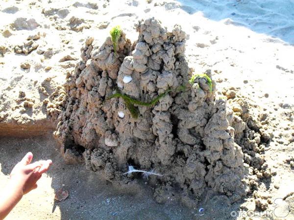 Отдых в Кранево фото