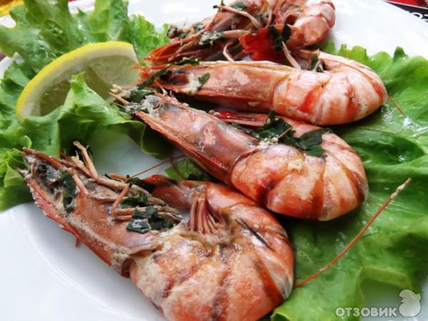 Отдых в Кранево фото