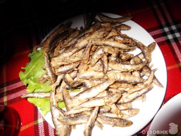 Отдых в Кранево фото