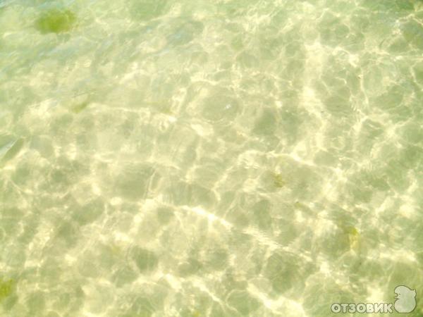 Отдых в Кранево фото