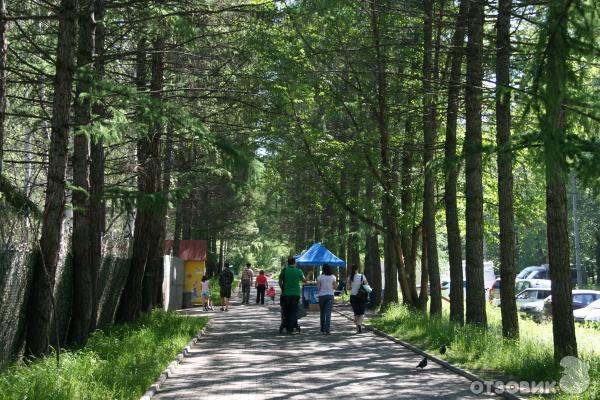 Парк культуры и отдыха имени В. В. Маяковского (Россия, Екатеринбург) фото