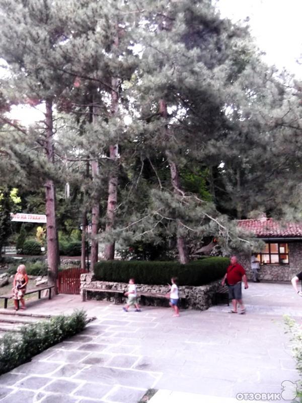 Монастырь Аладжа (Болгария, Варна) фото