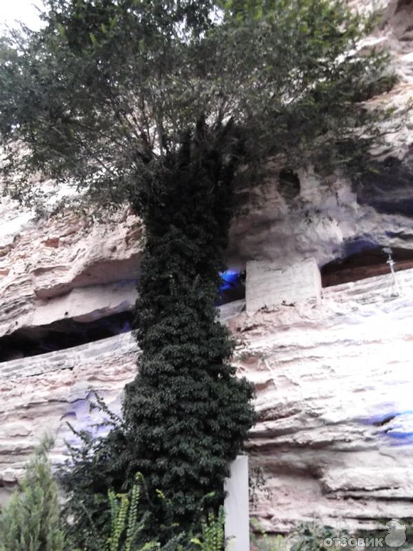 Монастырь Аладжа (Болгария, Варна) фото