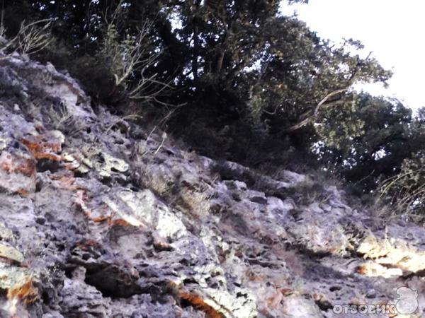 Монастырь Аладжа (Болгария, Варна) фото