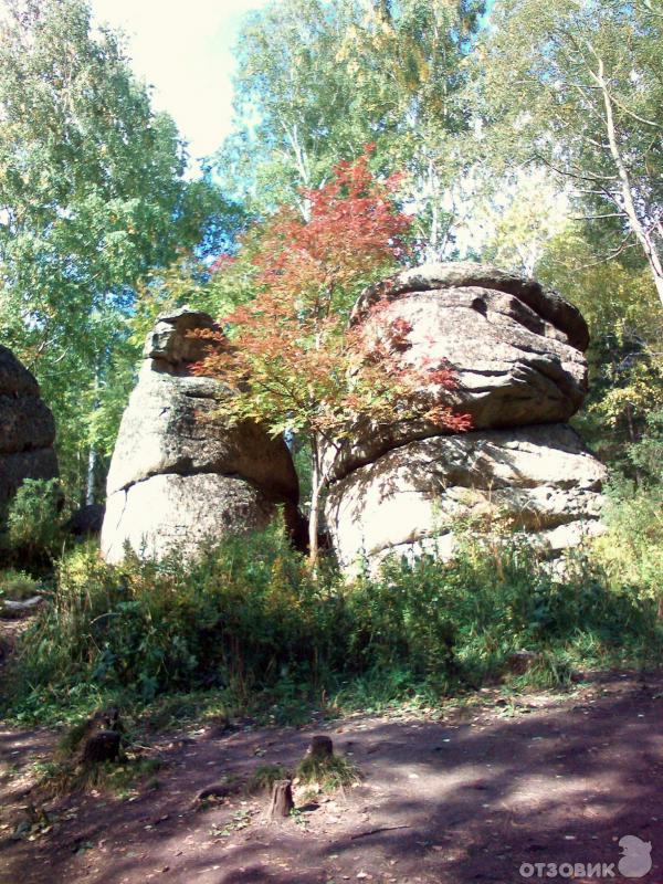 Санаторий Катунь (Россия, Белокуриха) фото