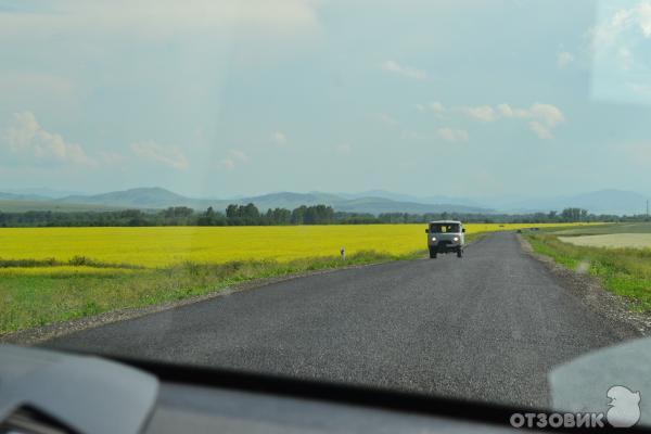 Озеро Ая (Россия, Алтайский край) фото