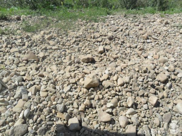 Отдых на Нугушском водохранилище фото
