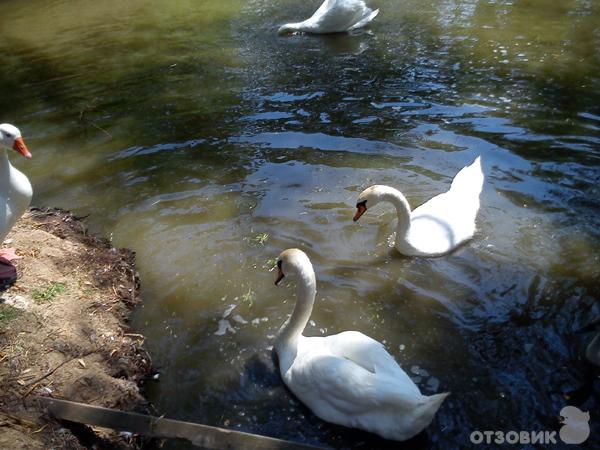Экскурсия в Замок Тумпалова в Равадиново (Созополь, Болгария)