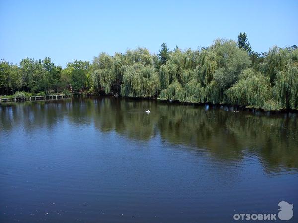 Экскурсия в Замок Тумпалова в Равадиново (Созополь, Болгария)