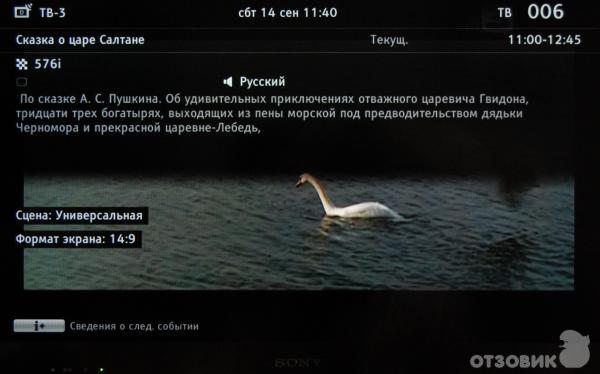 Цифровое ТВ, информация о событии