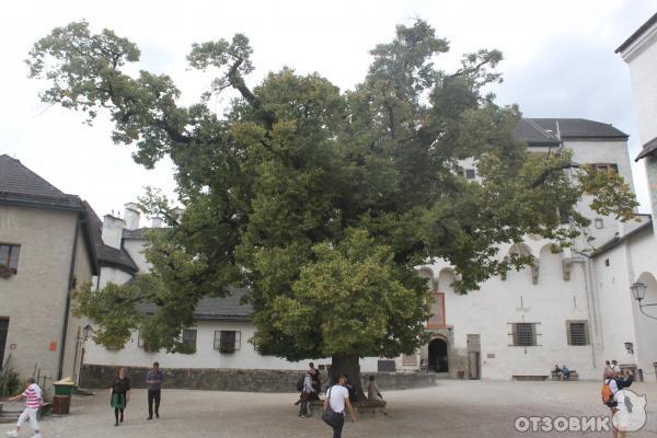 Город Зальцбург (Австрия, Земля Зальцбург) фото