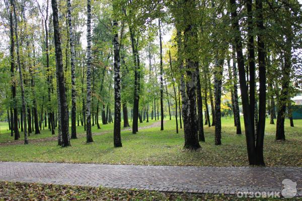 Центральный парк культуры и отдыха в Мытищах (Московская обл.) фото