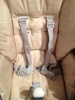 Стульчик для кормления Peg Perego Prima Pappa Diner фото
