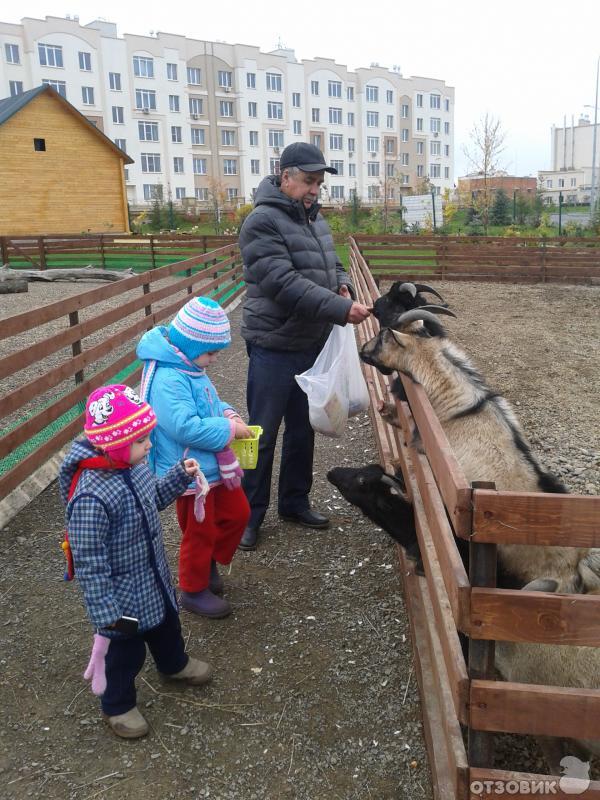 Парк флоры и фауны Вовкин двор (Россия, Кемерово) фото