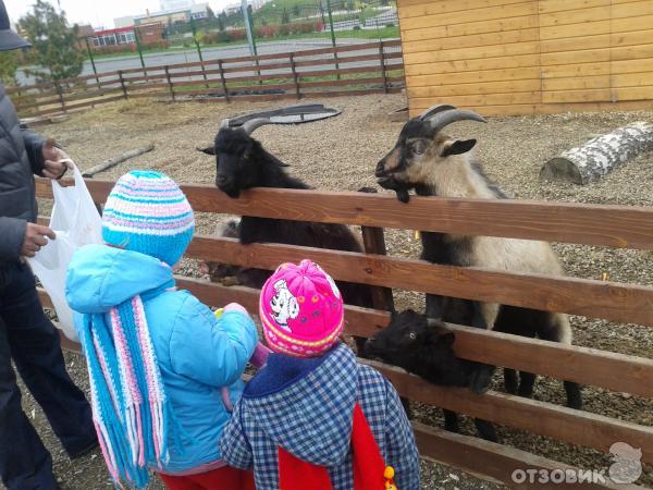 Парк флоры и фауны Вовкин двор (Россия, Кемерово) фото