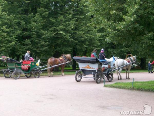 Павловский парк (Россия, Ленинградская область) фото