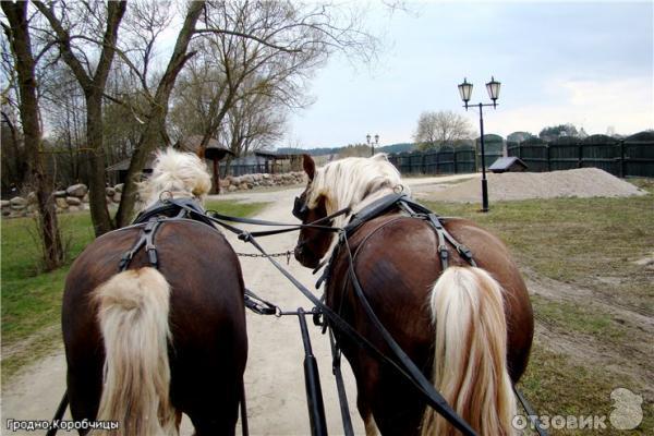 Агротуристический комплекс Коробчицы (Беларусь, Гродненская область) фото