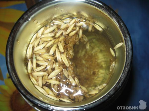 Овес для отваров и настоек Дивинка фото